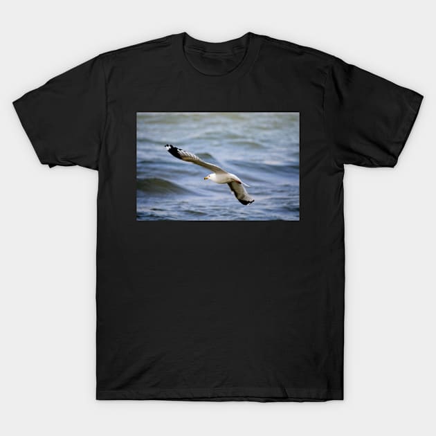 Gull, wind and waves T-Shirt by LaurieMinor